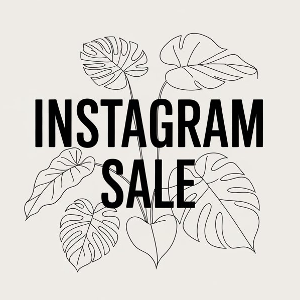 Instagram Sale vom 04.03.2026