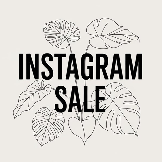 Instagram Sale vom 04.03.2026
